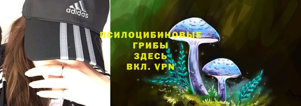 мдпв Осинники