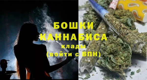 мдпв Осинники