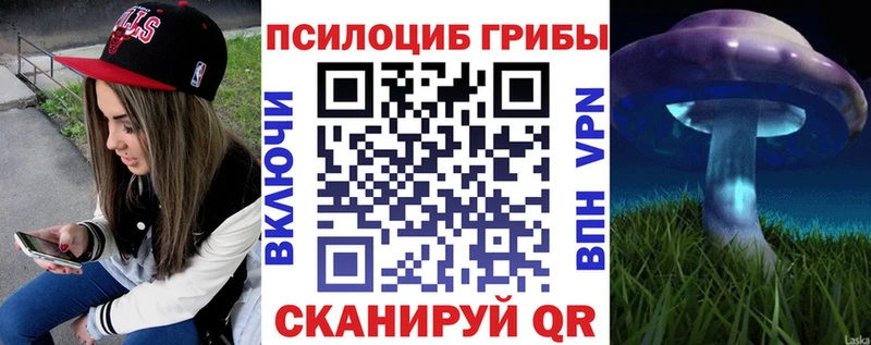 Галлюциногенные грибы прущие грибы  Кизляр 