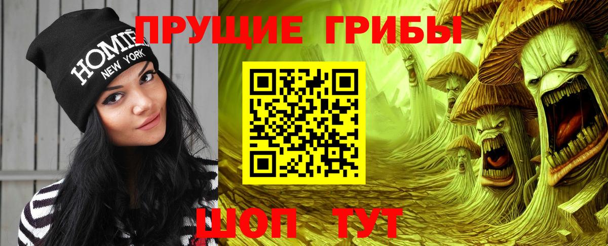 Кизляр  Галлюциногенные грибы мицелий  Галлюциногенные грибы Psilocybine cubensis  Вход с VPN 