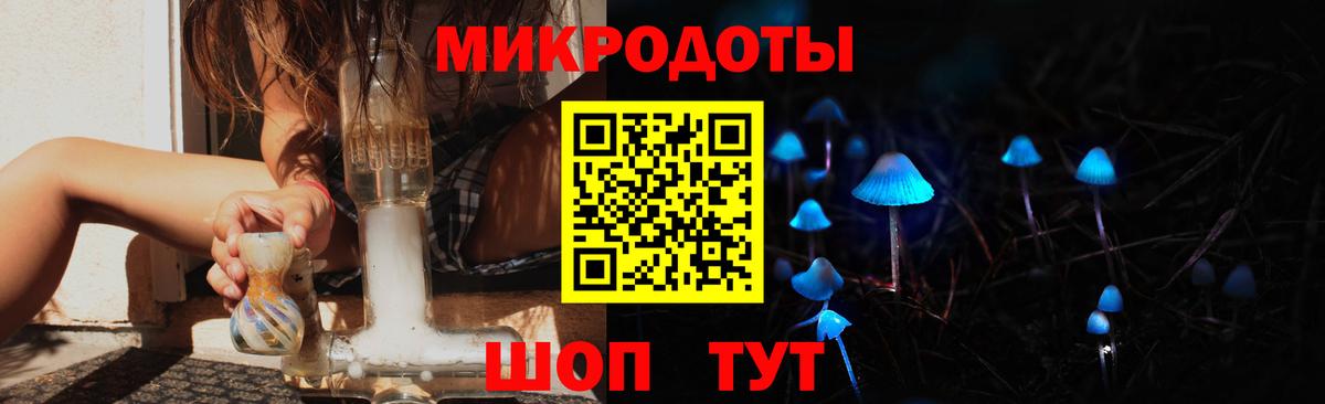 Псилоцибиновые грибы Cubensis Кизляр