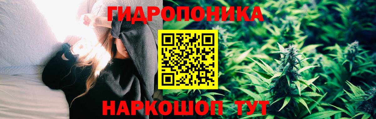 МАРИХУАНА ГИДРОПОН  Кизляр  Шишки марихуана Bruce Banner  Марихуана планчик 